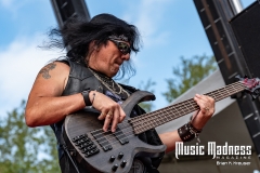 Coral Head Music Fest ~ Pinellas Park