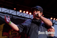 Coral-Head-MusicFest-in-Pinellas-Park-11022019-14-of-19