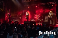 Puddle of Mudd