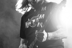 Puddle of Mudd