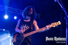 Puddle of Mudd