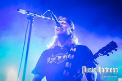 Puddle of Mudd