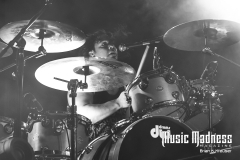Puddle of Mudd