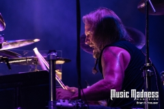 Coral Head Music Fest ~ Pinellas Park