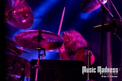 Coral Head Music Fest ~ Pinellas Park