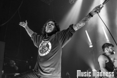 TDWP-2
