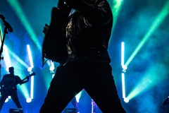 TDWP-3