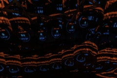 TOOL-MMM-2022-Tampa-12
